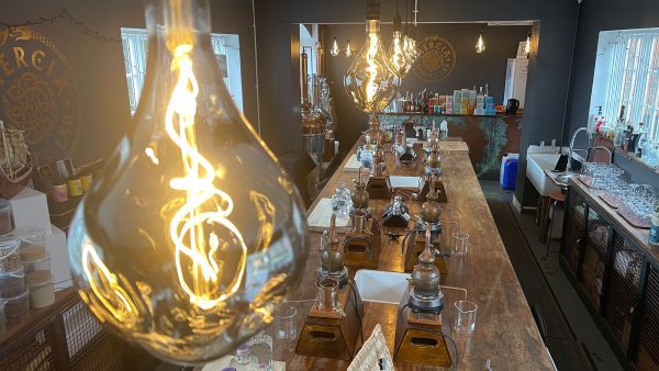 Club Bar Interior Design Giant Decorative 'Organic' Shaped LED Light Bulbs